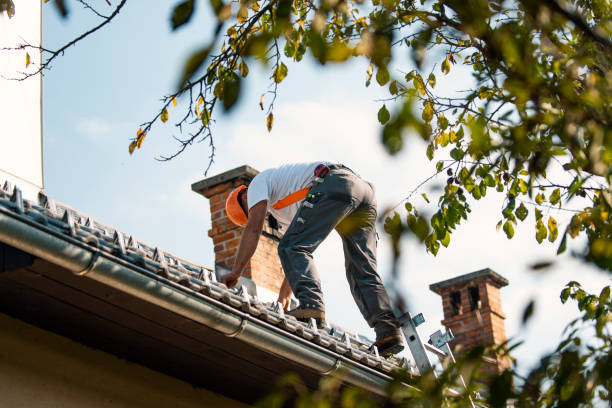 Best Storm Damage Roof Repair  in Dalhart, TX