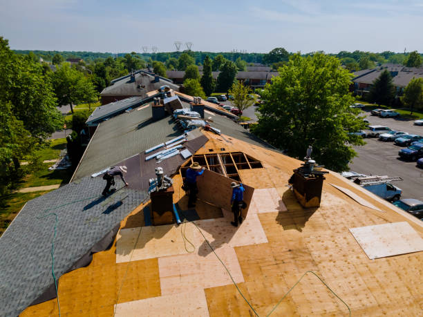 Quick and Trustworthy Emergency Roof Repair Services in Dalhart, TX